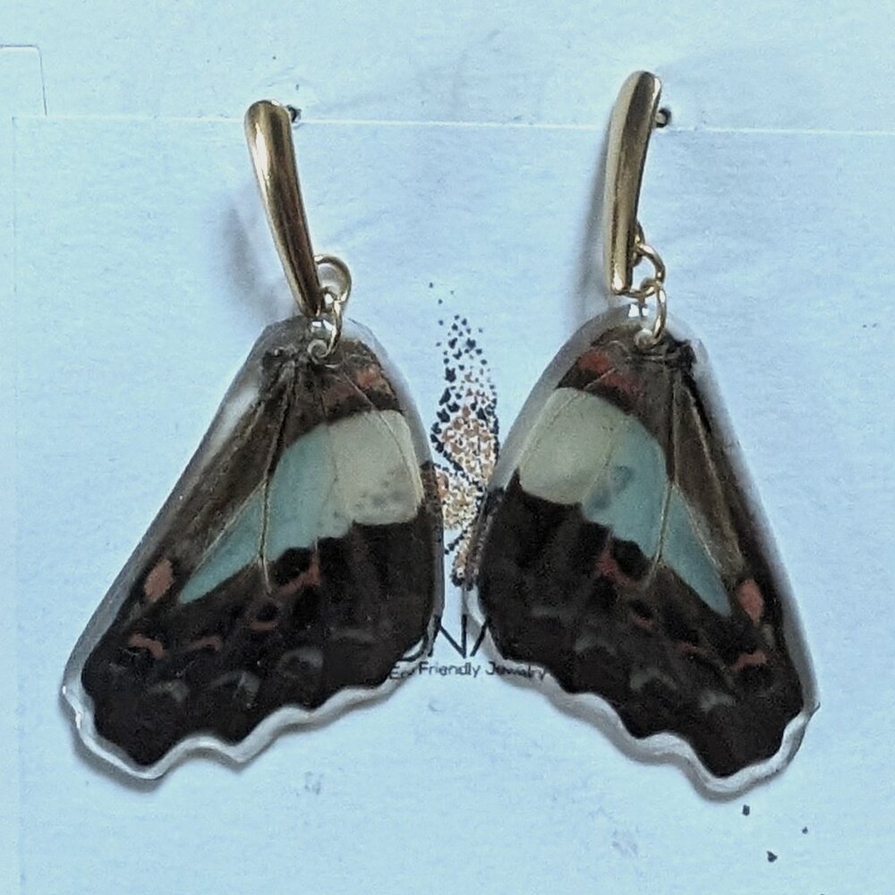 Butterfly Wing Earrings